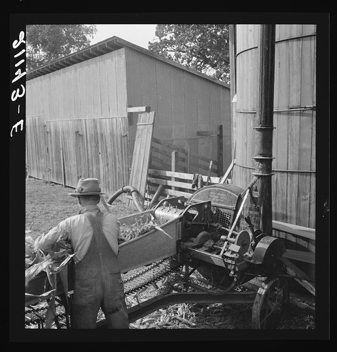 Farmers feeding corn into cooperatively owned ensilage cutter. Near W Street at Carlton, Yamhill County, Oregon. General caption number 58
