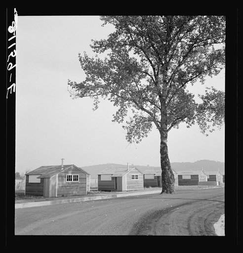 Untitled photo, possibly related to: Shows new type of wooden shelter for migratory workers. FSA (Farm Security Administration) camp. Near McMinnville, Oregon. See general caption number 60