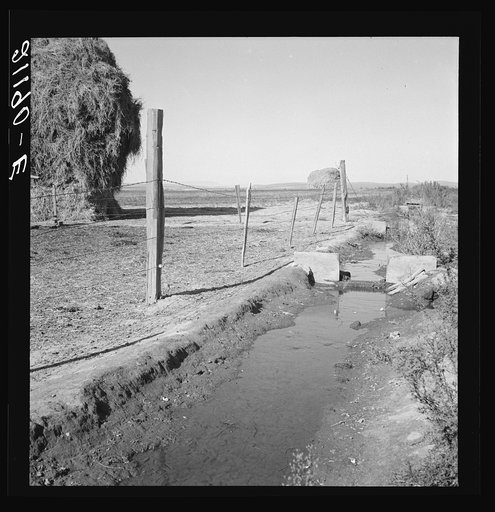 Emmett Smith's yard, back of the house. Dead Ox Flat, Malheur County, Oregon. General caption number 67-111