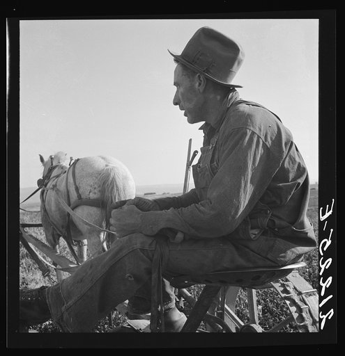 Mr. Roberts, FSA (Farm Security Administration) borrower. Owyhee project. Malheur County, Oregon