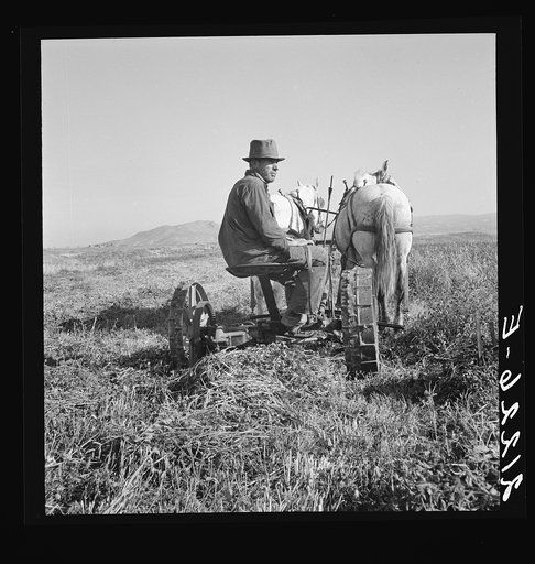 Untitled photo, possibly related to: Mr. Roberts, FSA (Farm Security Administration) borrower. Owyhee project. Malheur County, Oregon