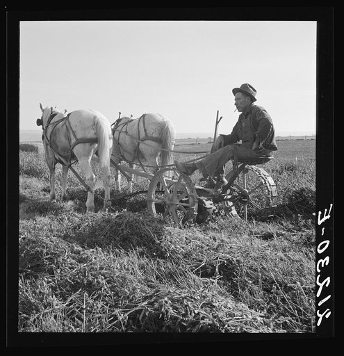 Untitled photo, possibly related to: Mr. Roberts, FSA (Farm Security Administration) borrower. Owyhee project. Malheur County, Oregon
