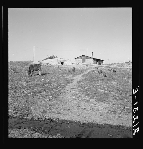 Untitled photo, possibly related to: Abode basement dugout house on Roberts' farm. Willow Creek area. Malheur County, Oregon. General caption number 73