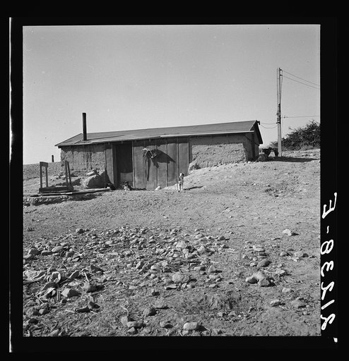 Abode basement dugout house on Roberts' farm. Willow Creek area. Malheur County, Oregon. General caption number 73