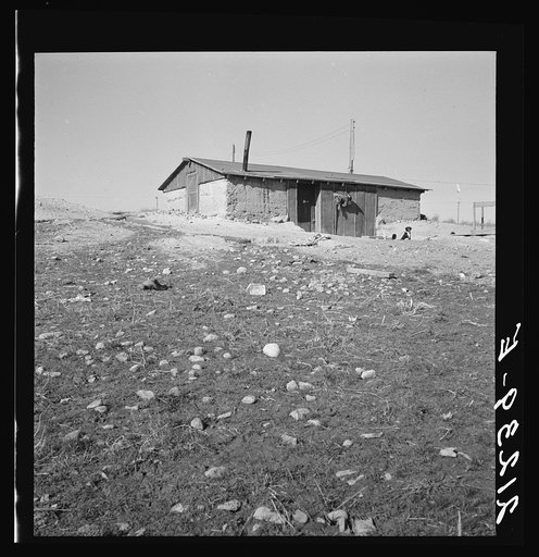 Untitled photo, possibly related to: Abode basement dugout house on Roberts' farm. Willow Creek area. Malheur County, Oregon. General caption number 73