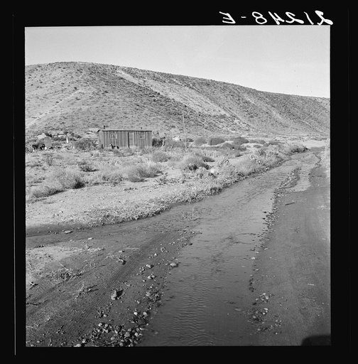 Below the bench, showing condition of road which leads up to the new farm due to seepage of irrigation water. Family who lives in shack have been in the country one year. "We're getting along, but it's awful slow." Dead Ox Flat, Malheur County, Oregon General caption 67-1