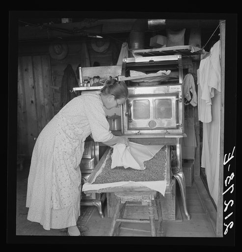 Mrs. Hull drying corn. She hopes to sell enough to help her son through Bible school. Dead Ox Flat, Malheur County, Oregon
