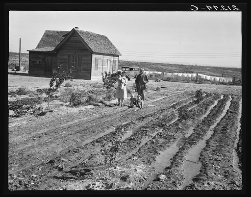 The Schroeder family. The new house seen across strawberry patch. Note young fruit trees. Dead Ox Flat, Malheur County, Oregon. General caption number 67-111