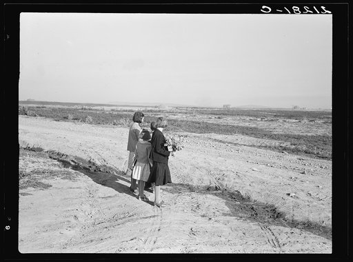 Four of the seven Browning children wait for the school bus at the road by their farm. Dead Ox Flat, Malheur County, Oregon. General caption number 67-111