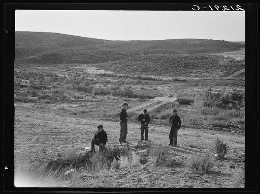 Untitled photo, possibly related to: Boys wait for school bus in the morning. Malheur County, Oregon. General caption number 67-1V