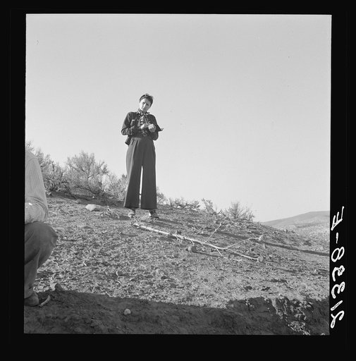 Untitled photo, possibly related to: Sam Cates from Oklahoma, now establishing a little farm up Cow Hollow, with his great grandfather's gun, who brought it from South Carolina. The gun is 150 years old. This family took this gun from South Carolina to Texas, from Texas to Arkansas (five years) from