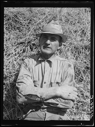 E.E. Botner, FSA (Farm Security Administration) borrower. "We took it from the raw." Nyssa Heights, Malheur County, Oregon