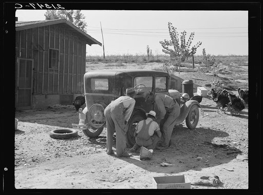Stephens brothers, who own combine cooperatively, getting ready to go out to their lettuce field after dinner. Nyssa Heights district, Malheur County, Oregon