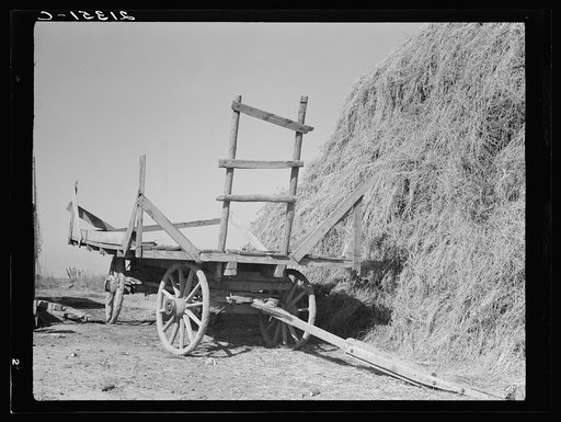 Hayrick and stack of FSA (Farm Security Administration) borrower. Nyssa Heights, Malheur County, Oregon