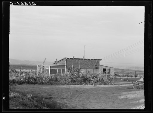 The home of a new farmer who has successfully established himself on the raw land. He has repaid his FSA (Farm Security Administration) loan of twelve hundred and forty-eight dollars in full. Family arrived on the project in August 1937
