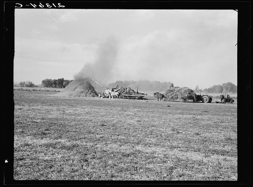 Untitled photo, possibly related to: Threshing red clover for seed on older settler's ranch. Near Ontario, Malheur County, Oregon