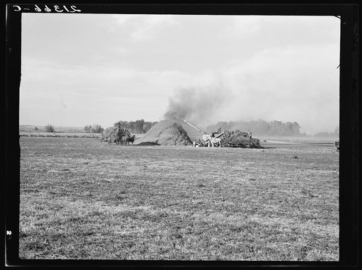 Untitled photo, possibly related to: Threshing red clover for seed on older settler's ranch. Near Ontario, Malheur County, Oregon