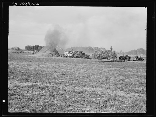 Threshing red clover for seed on older settler's ranch. Near Ontario, Malheur County, Oregon