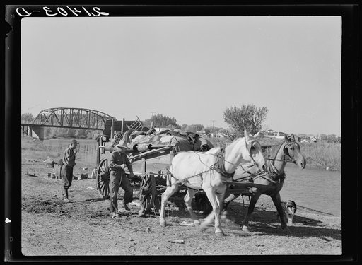 Untitled photo, possibly related to: Migrant family cleaning up. Near Vale, Malheur County, Oregon