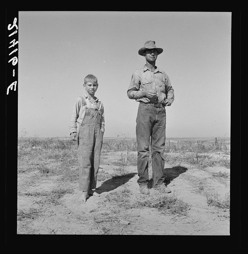 Untitled photo, possibly related to: George Cleaver, new farmer, has five boys. The three older boys, ages twelve, sixteen, and eighteen, are needed at home to develop the farm and do not go to school. Malheur County, Oregon