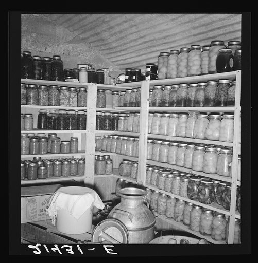 Untitled photo, possibly related to: Interior of Mrs. Botner's storage cellar. 800 quarts of "food for the winter." "I miss my chickens so, but we're just not fixed for chickens or hogs yet." Nyssa Heights, Malheur County, Oregon