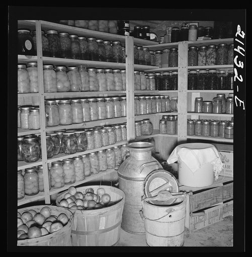 Interior of Mrs. Botner's storage cellar. 800 quarts of "food for the winter." "I miss my chickens so, but we're just not fixed for chickens or hogs yet." Nyssa Heights, Malheur County, Oregon