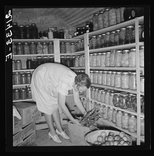 Mrs. Botner arranging her storage cellar. Nyssa Heights, Malheur County, Oregon
