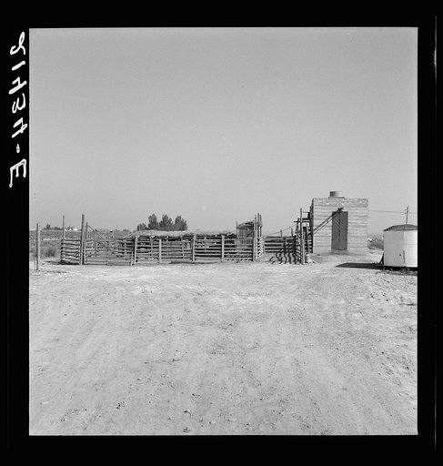 Untitled photo, possibly related to:  Country slaughterhouse for use of farmers. One mile north of Nyssa, Malheur County, Oregon