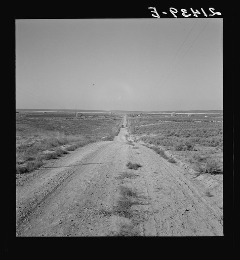 Untitled photo, possibly related to: The cream truck coming down the road represents one steady element in the new settlers' income. Nyssa Heights, Malheur County, Oregon
