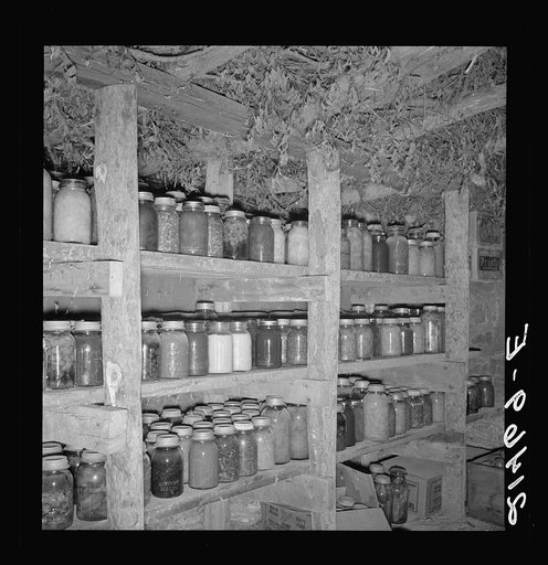 Mrs. Wardlow has 500 quarts of food in her dugout cellar. Dead Ox Flat, Malheur County, Oregon