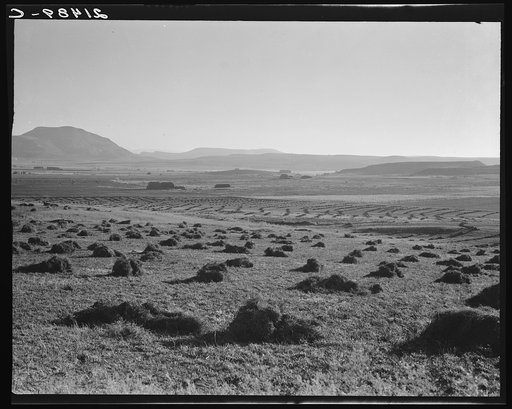 View of Sunset Valley, Malheur County, Oregon. Hay and clover,  pasture land, corn land, grain land. Some of this valley has been under cultivation four or five years