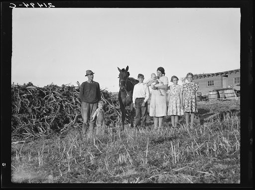 Untitled photo, possibly related to: The Daughtery family, FSA (Farm Security Administration borrowers). Warm Springs district, Malheur County, Oregon