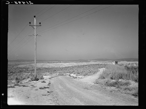 On bench land of the Owyhee project. Sage brush, irrigated fields, homestead. Nyssa Heights, Malheur County, Oregon