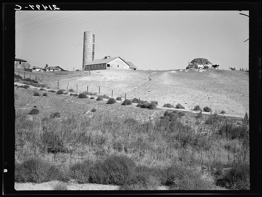 Western Idaho dairy farm