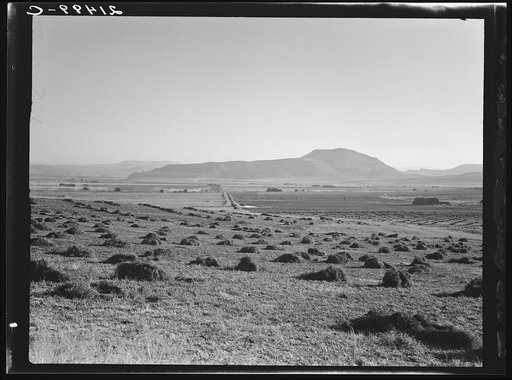 Sunset Valley, Malheur County, Oregon. Hay and clover, pasture land, corn land, grain land. Some of this valley has been under cultivation four or five years