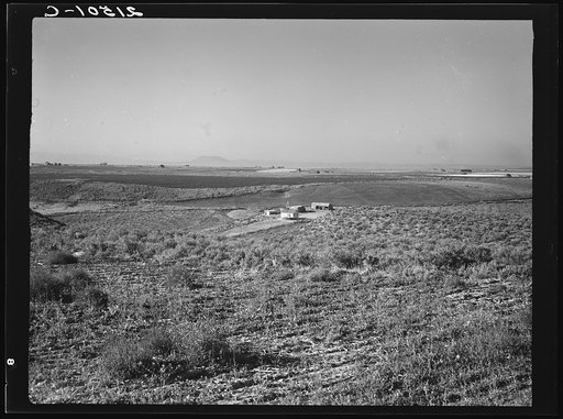 Nyssa Heights, Malheur County, Oregon. Sage bush, hay field, farmstead, cattle in pasture. All farms in this view belong to FSA (Farm Security Administration) borrowers. General caption 66