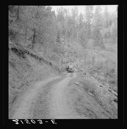 Bringing in load of logs late in the afternoon from the woods to the mill over road three miles long which members built with pick and shovel. Ola self-help co-op farm, Gem County, Idaho. See general caption 48