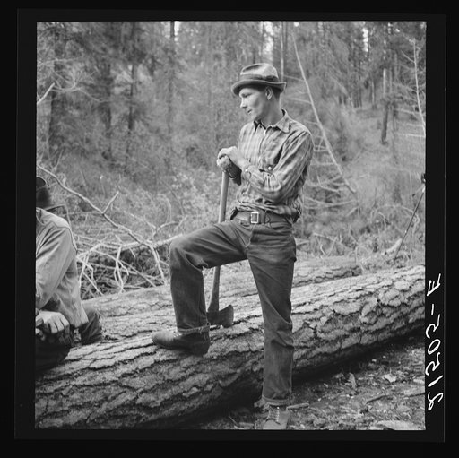 Untitled photo, possibly related to: Member of the co-op in the woods. Ola self help cooperative sawmill. Gem County, Idaho. See general caption 48