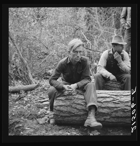 Untitled photo, possibly related to: Member of the co-op in the woods. Ola self help cooperative sawmill. Gem County, Idaho. See general caption 48