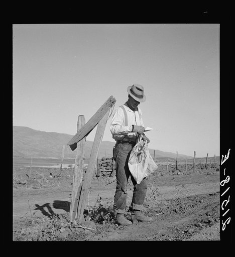 Farmer getting the morning mail. Gem County, Idaho