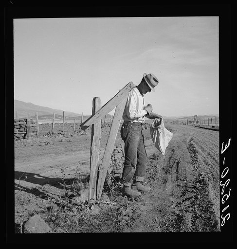 Untitled photo, possibly related to: Farmer getting the morning mail. Gem County, Idaho
