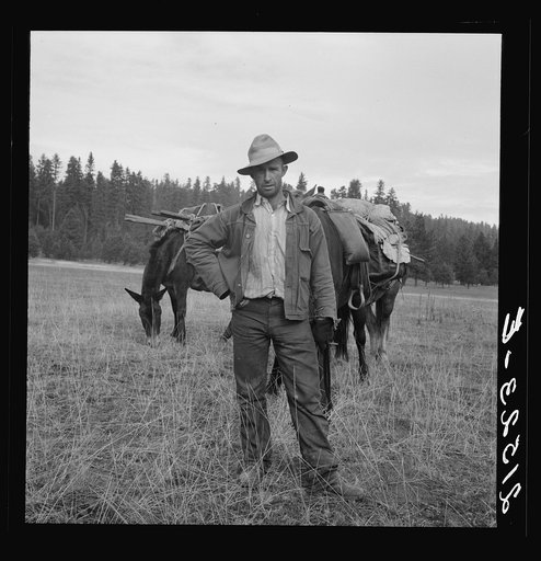 Untitled photo, possibly related to: Basque sheep herder who speaks broken English coming down from summer camp with pack animals. Adams County, Idaho