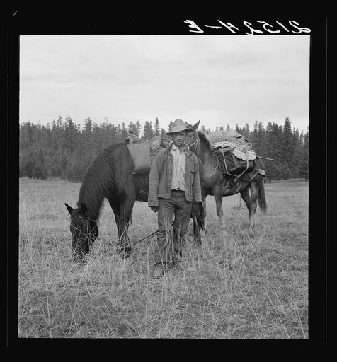 Basque sheep herder who speaks broken English coming down from summer camp with pack animals. Adams County, Idaho