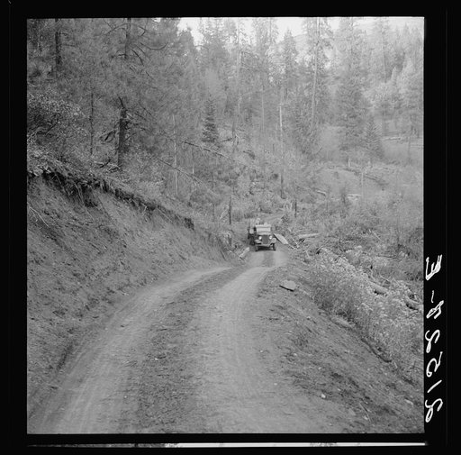 Untitled photo, possibly related to: Bringing in load of logs late in the afternoon from the woods to the mill over road three miles long which members built with pick and shovel. Ola self-help co-op farm, Gem County, Idaho. See general caption 48