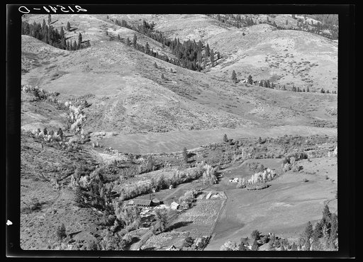 Looking down on Ola self-help co-op mill showing the upper end of Squaw Creek Valley, the creek lined with trees, the new dry shed near the mill, homes of co-op members and cultivated surrounding fields. Gem County, Idaho