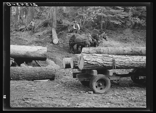 Untitled photo, possibly related to: Members of Ola self-help sawmill co-op snaking a fir log down to the truck. Gem County, Idaho. General caption 48