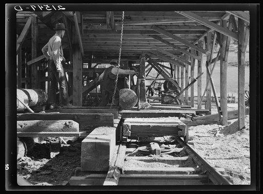 Untitled photo, possibly related to: The sawmill in operation. It was built by the farmer members of the Ola self-help sawmill co-op. Gem County, Idaho. General caption 48