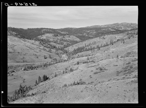 Upper end of Squaw Creek Valley near the mill, showing part of the timber resources. Ola self-help sawmill co-op. Gem County, Idaho. General caption 48
