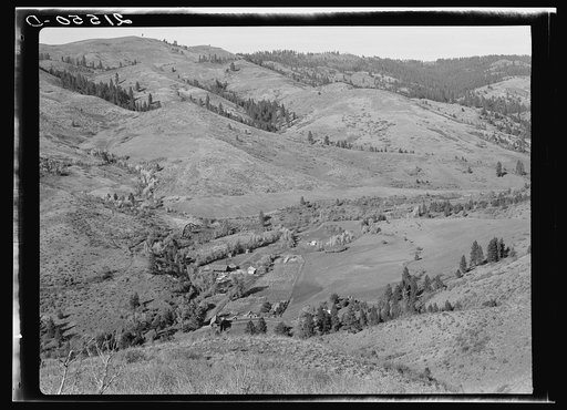 Untitled photo, possibly related to: Upper end of Squaw Creek Valley near the mill, showing part of the timber resources. Ola self-help sawmill co-op. Gem County, Idaho. General caption 48