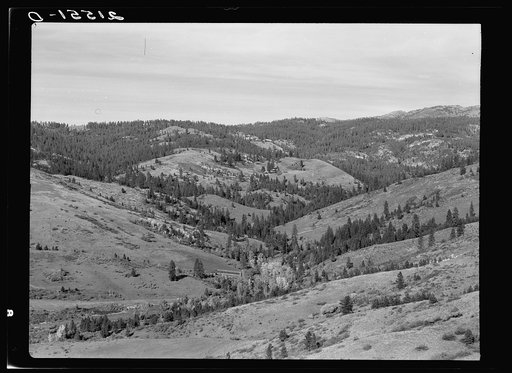 Untitled photo, possibly related to: Upper end of Squaw Creek Valley near the mill, showing part of the timber resources. Ola self-help sawmill co-op. Gem County, Idaho. General caption 48
